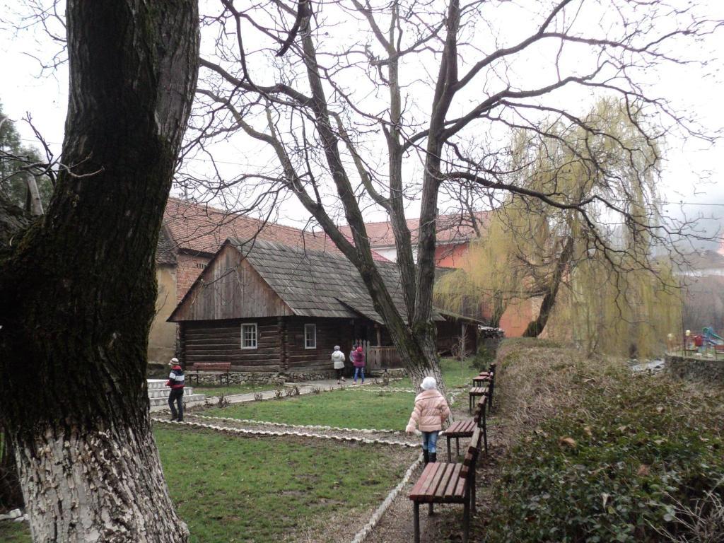 Pensiunea Irina Tilisca Luaran gambar
